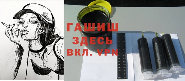гашик Верея