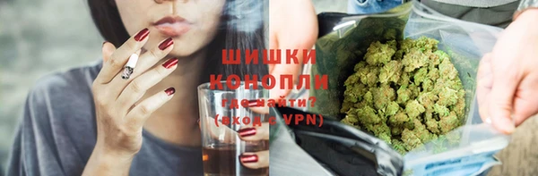 гашик Верея