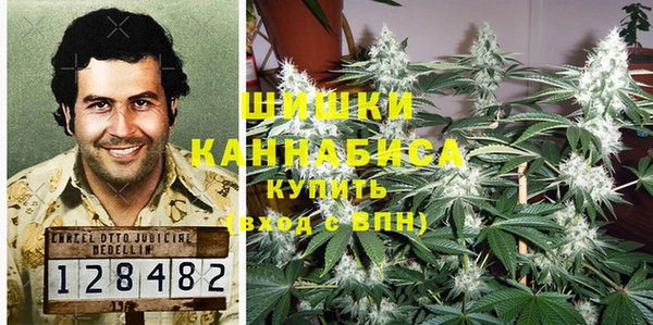 шишки Волоколамск