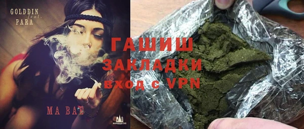 гашик Верея