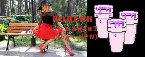 гашик Верея