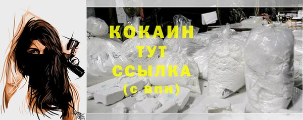 гашик Верея