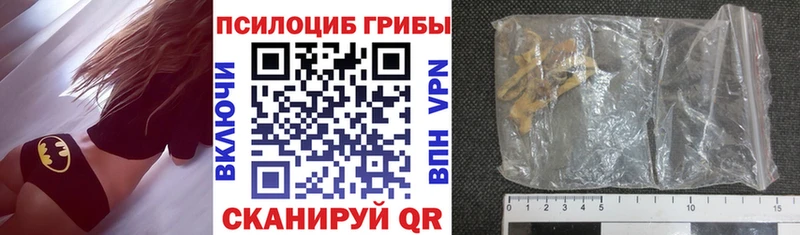 Псилоцибиновые грибы Psilocybine cubensis  Иланский 